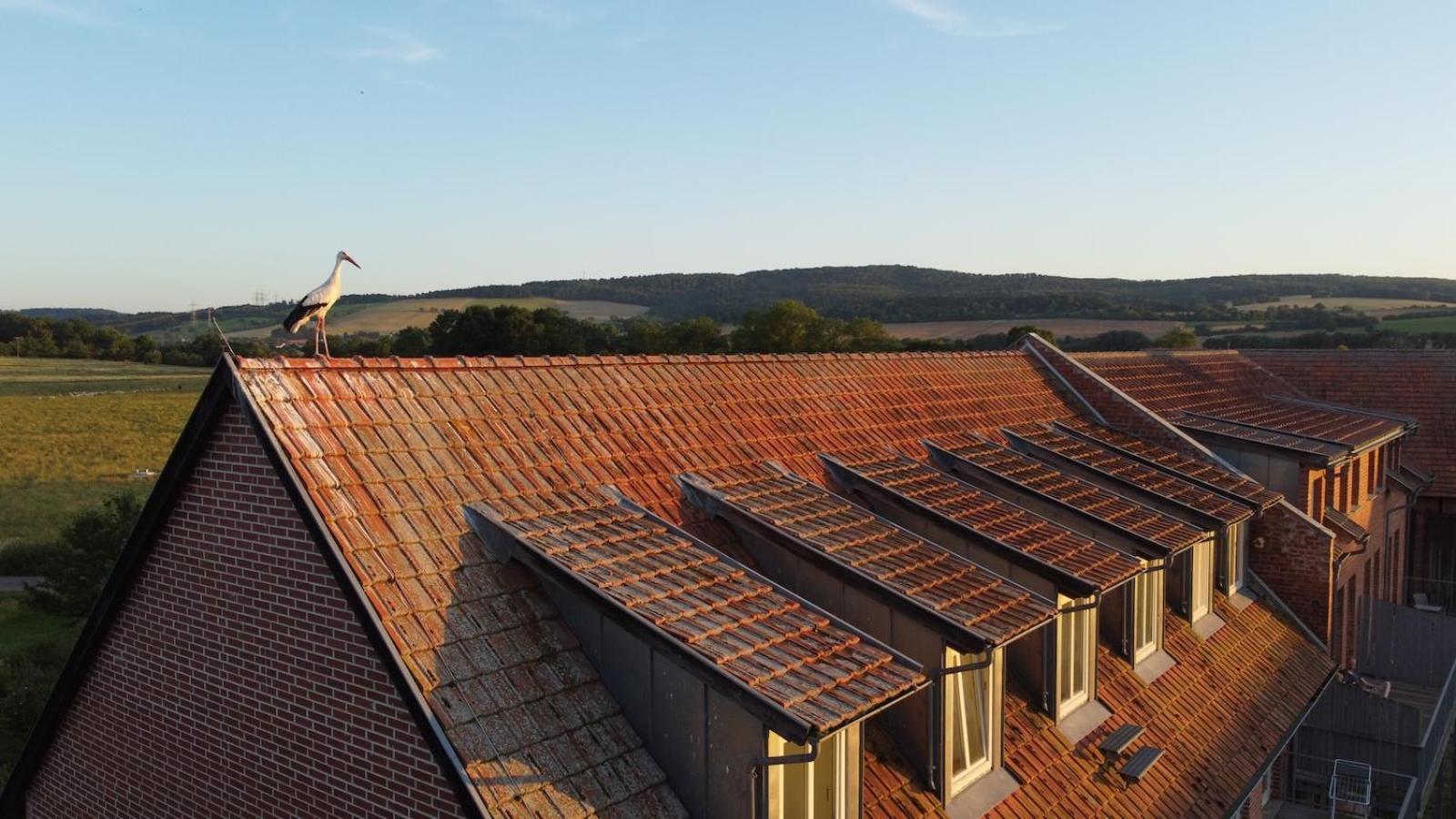 Biohotel Stiftsgut Wilhelmsgluecksbrunn Creuzburg Bagian luar foto